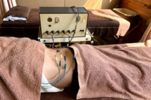 眩暈や立ちくらみ、頭痛などを引き起こす自律神経失調症は電気鍼で症状の緩和